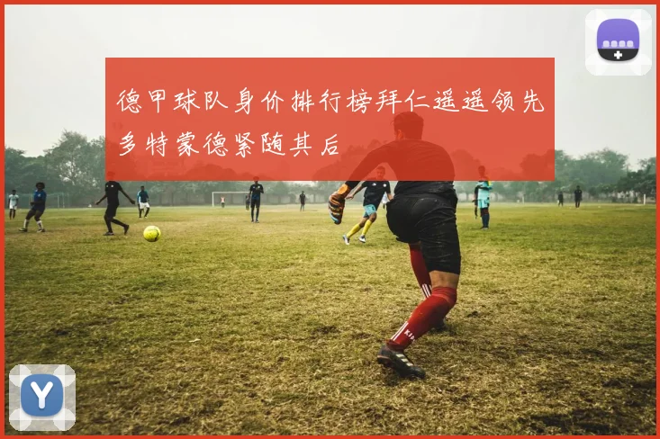 德甲球队身价排行榜拜仁遥遥领先多特蒙德紧随其后
